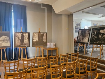 Wystawa „Drzewa Województwa Łódzkiego” autorstwa Piotra Wypycha, 